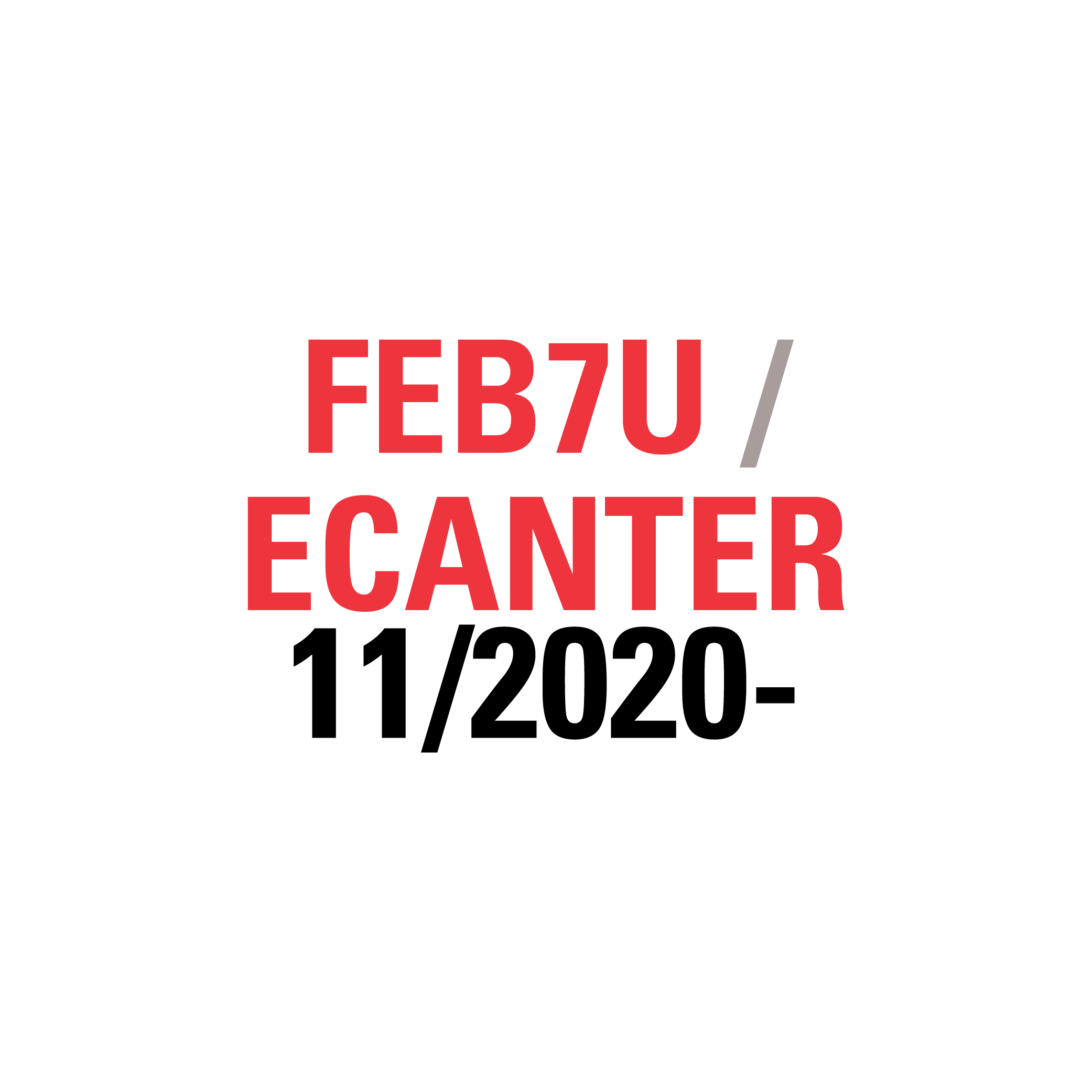 FEB7U ECANTER 11/2020-